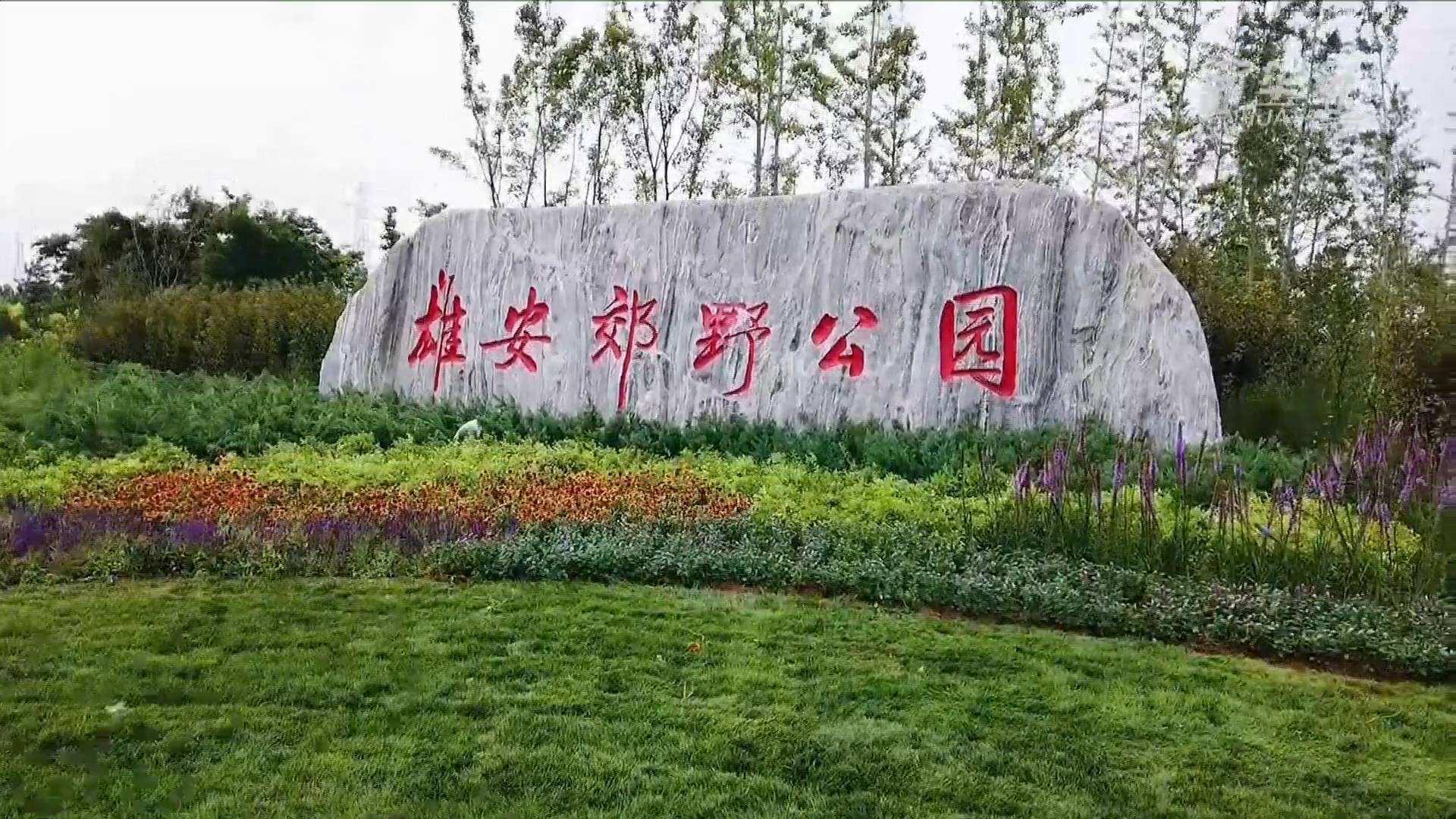 大宝娱乐电气雄安郊外公园建设工程及配套设施项目